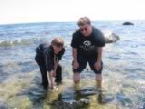 waders