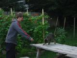 Nicholas and Little Dude