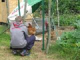Nicholas with chickens